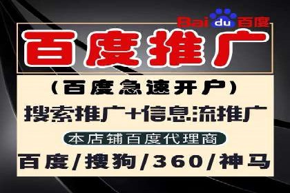 揭秘sem百度竞价背后的成功秘诀与案例